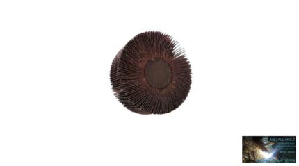 80x40x6 A 80 RLGsaturnus FG FG csapos lamelláskorong egész lapokból Fast Grinder 12271620