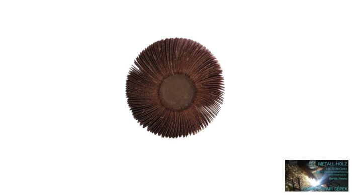 80x50x6 A180 RLGsaturnus FG FG csapos lamelláskorong egész lapokból Fast Grinder 41020041 - Image 1