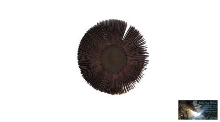 80x50x6 A240 RLGsaturnus FG FG csapos lamelláskorong egész lapokból Fast Grinder 41020042